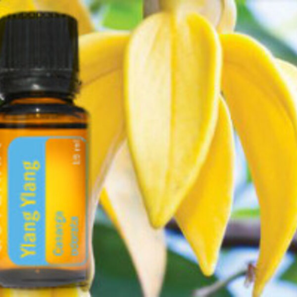 DōTERRA essential oils Ylang Ylang essential oil 15 ml.