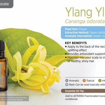 DōTERRA essential oils  Ylang Ylang essential oil 15 ml.