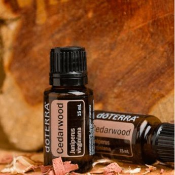 DōTERRA essential oils  Cederhout essentiële olie 15 ml.