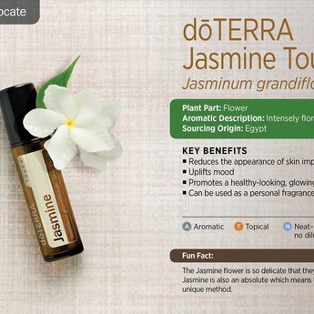 Jasmijn Touch roller 10 ml
