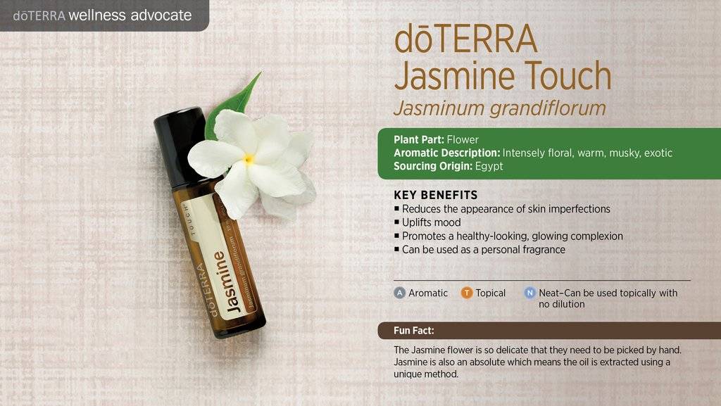 Jasmine Touch rollon 10 ml. Bliz Wellness