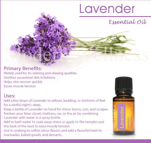 Lavendel Essentiele Olie Bliz Wellness 2442