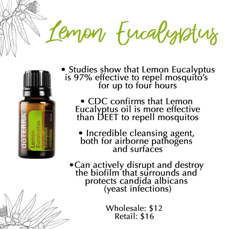 Lemon Eucalyptus essential oil 15 ml. Bliz Wellness