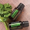 DōTERRA essential oils  Cilantro essential oil