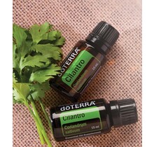 Cilantro essential oil 15 ml.