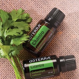 DōTERRA essential oils  Cilantro essential oil