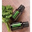 DōTERRA essential oils  Cilantro essential oil 15 ml.