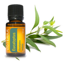 Eucalyptus Essential Oil blend 15 ml.