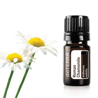 Young Living Roman Chamomile Essential Oil - 5ml