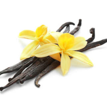 Madagascar Vanilla Essential Oil