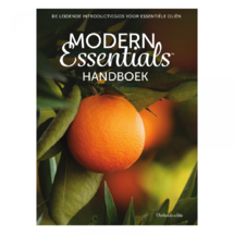 Modern Essentials handbook 13th edition Dutch