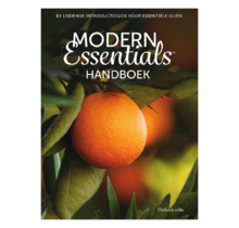 Modern Essentials handbook 13th edition Dutch