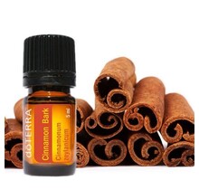 Cinnamon Essential Oil 5 ml.