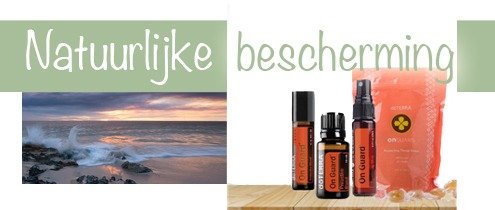 Bekijken