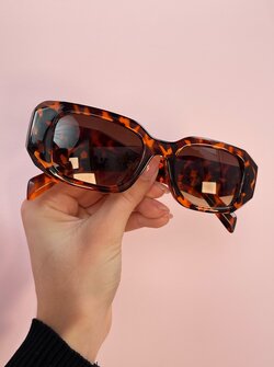 Carice sunglasses brown leo