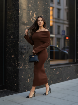 Dani dress brown
