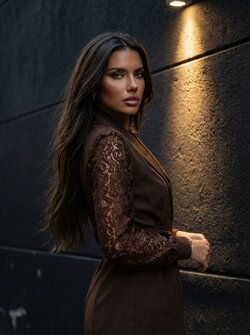 Fenny dress brown Fenny dress brown