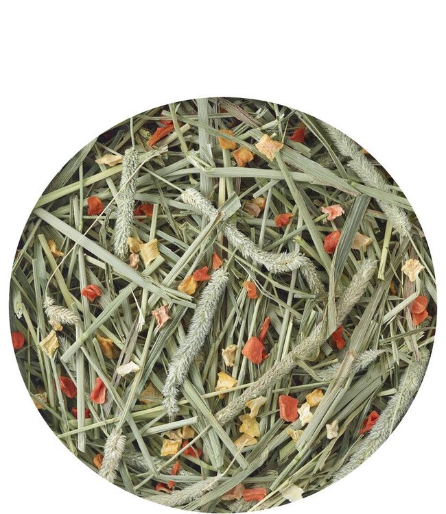 Versele Laga Timothy Hay Carrot & Pumpkin