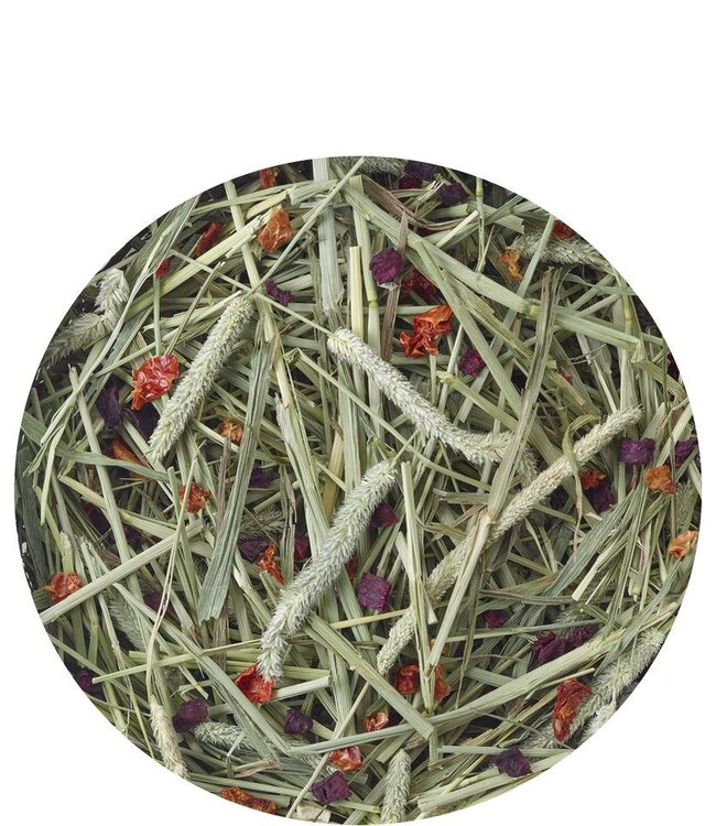 Versele Laga Timothy Hay Beetroot & Tomato