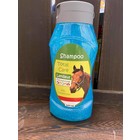 Shampoo Total Care