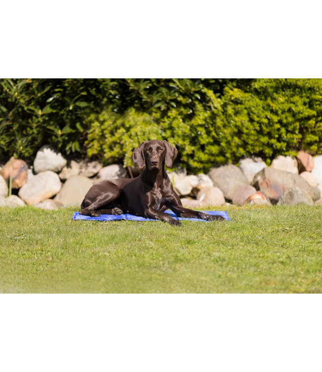 Trixie Kühlmatte