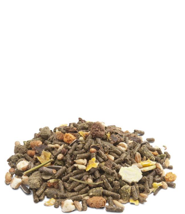 Versele Laga MUESLI - BIG RABBITS 10kg