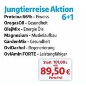 Ovigor Jungtierreise Aktion 6+1