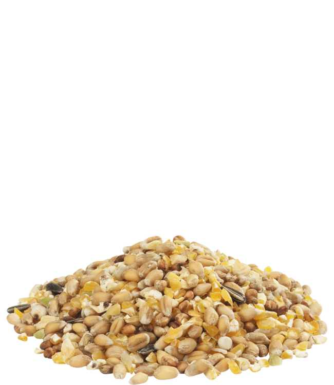 Versele Laga GRA-MIX ARDENNER MISCHUNG 20kg