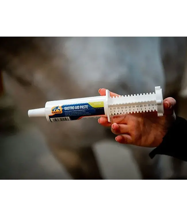 Cavalor Gastro Aid Paste