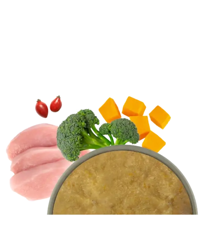 Bosch Freshe Schnauze Huhn mit Kürbis & Brokkoli 250g