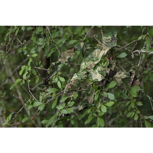 GhostHood ConCamo Fresh-Strip 4 GhostHood ConCamo Fresh-Strip 4