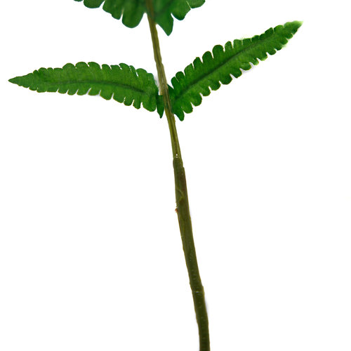 STALKER High Quality Artificial Long Silk Ferns (3-Pieces)