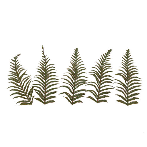 c4ssa_snipes High Quality Artificial Ferns