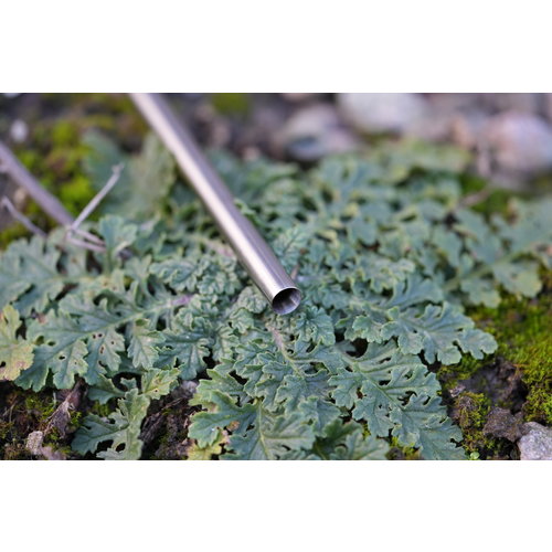 STALKER “Morpheus” Carbon Steel 155mm Kriss Vector / Krytac 155 STALKER “Morpheus” Carbon Steel 155mm Kriss Vector / Krytac 155