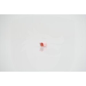 STALKER Kraken AAP-01 C-Hop Bucking  - 50° (Pink)