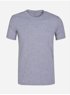Arya Boy T-shirt Cossonay Grey