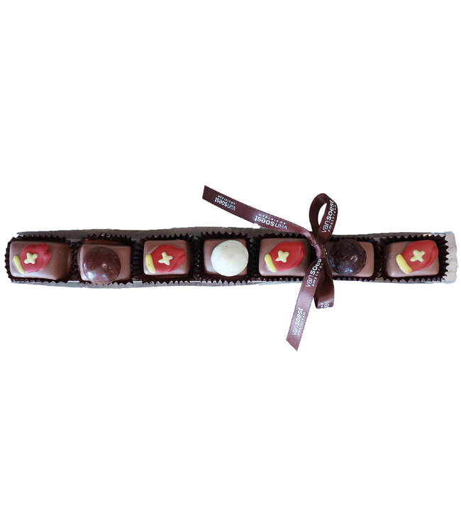 SINT CHOCOLATES HAZELNUT PRALINE