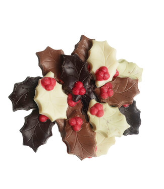 CHOCOLADE HULSTBLAADJES