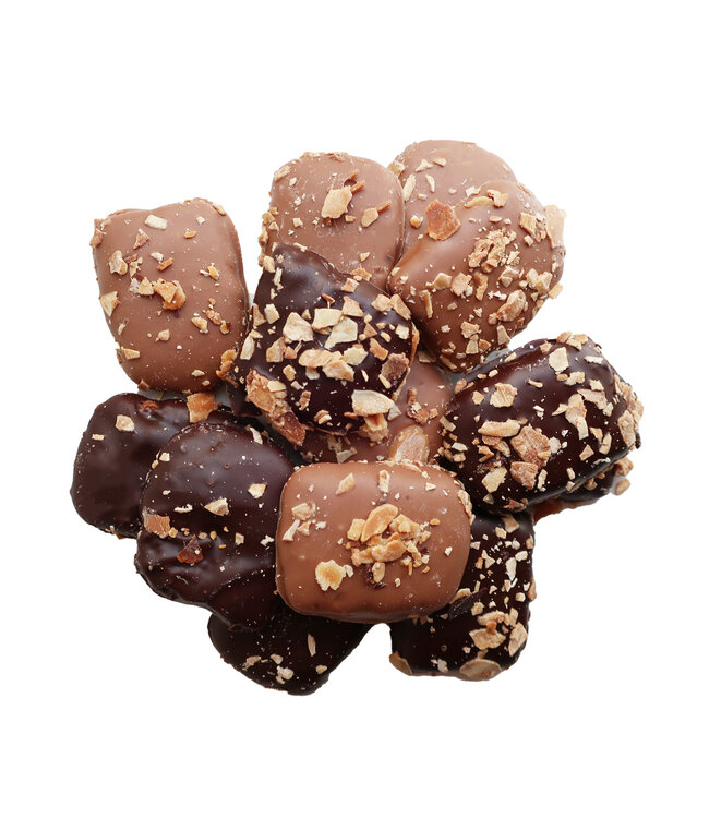 SPECULAAS KOEKJES OMHULD MET CHOCOLADE