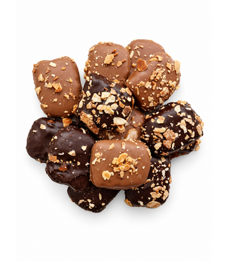 SPECULAAS KOEKJES IN CHOCOLADE
