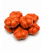 SPICY PUMPKIN BONBON