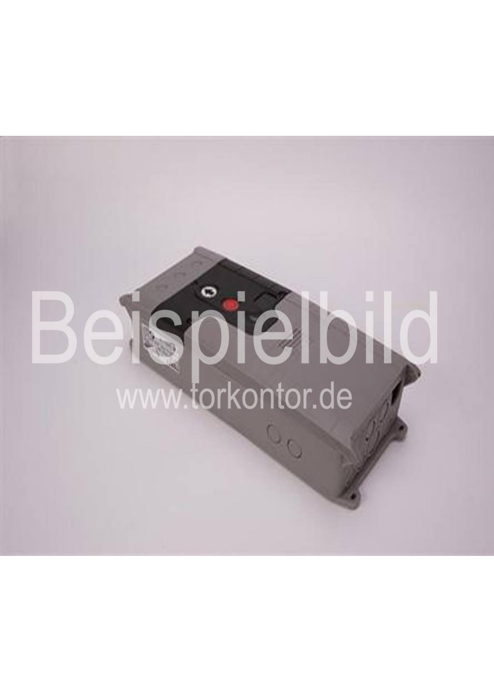 Torsteuerung TS 971 Deckel Grau