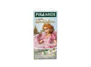 PIRAMIDE THEE PRINSESSEN DROOM