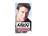 JUST FOR MEN 2 DONKERBLOND