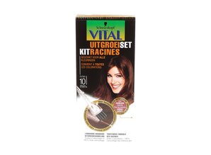 VITAL UITGROEISET ROODBRUIN