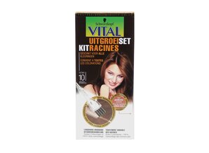 VITAL UITGROEISET GOUDBRUIN