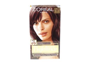 PREFERENCE 5.25 IJSKASTANJE