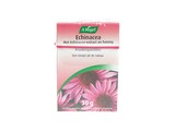 VOG-ECHINACEA KRUIDENPAST