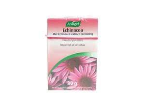 VOG-ECHINACEA KRUIDENPAST