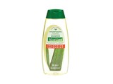 HERBATINT SHAMPOO NORM.ALOE VERA